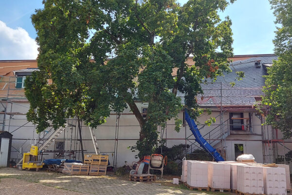 20220805-sli-KAL-Steinfeld-Trappistinnen-7 20220805-sli-KAL-Steinfeld-Trappistinnen-7